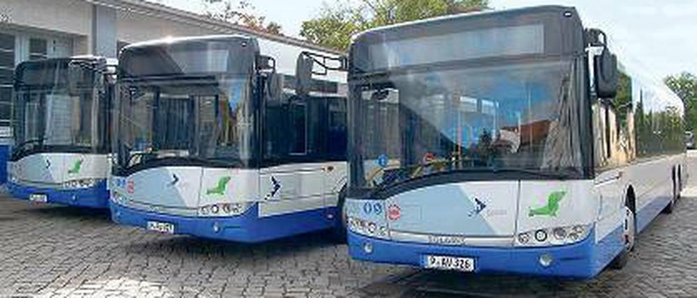 Flotte Linie. Die Solaris-Busse werden im Raum Werder unterwegs sein.