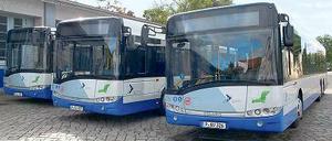 Flotte Linie. Die Solaris-Busse werden im Raum Werder unterwegs sein.