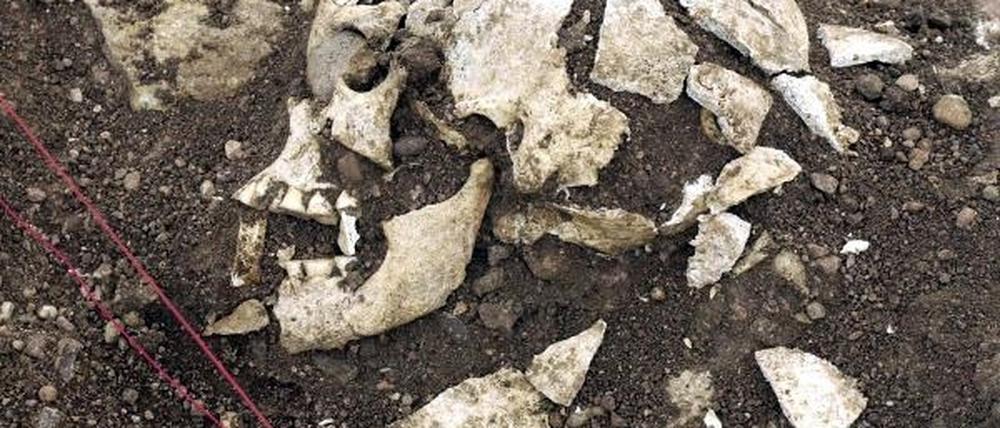 Ein Skelett wurde bei Jänschwalde noch nicht gefunden, wohl aber Hinweise auf Urmenschen in der Region.