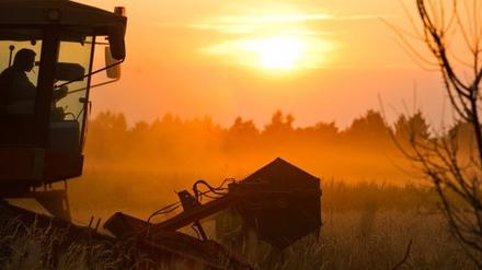 Landwirtschaft in Brandenburg.