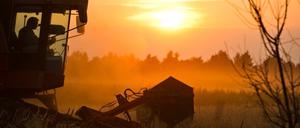 Landwirtschaft in Brandenburg.