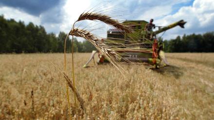 Wurde bei der Umwandlung der alten LPGs in neue Landwirtschaftsbetriebe getrickst?