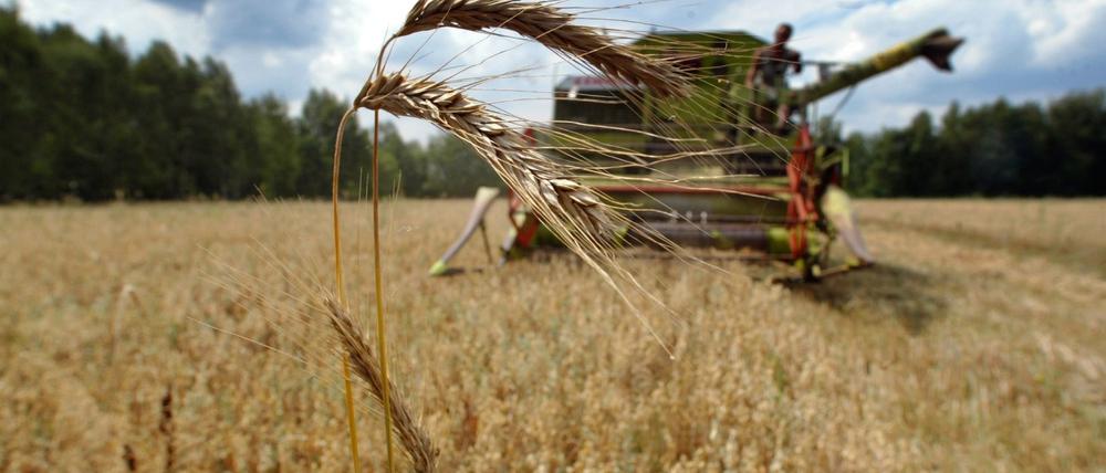 Wurde bei der Umwandlung der alten LPGs in neue Landwirtschaftsbetriebe getrickst?