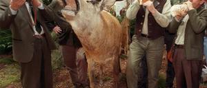 Ja, dafür gibt es Meisterschaften: Hirschrufen.