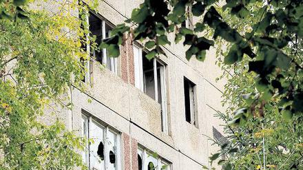 Wilder Wohnraum. Bevor neue Mieter hier in Berlin an der Wartenberger Straße einziehen, sollten noch mal ein paar Handwerker anrücken. Und Maler. Und Gärtner.