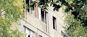 Wilder Wohnraum. Bevor neue Mieter hier in Berlin an der Wartenberger Straße einziehen, sollten noch mal ein paar Handwerker anrücken. Und Maler. Und Gärtner.