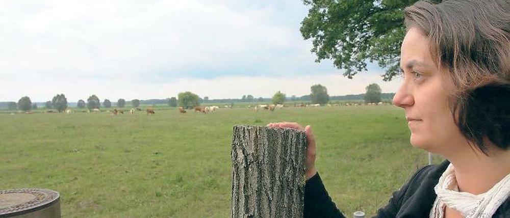 Bedrohte Idylle. Kathrin Voigt bietet Bert Groenstege die Stirn. Auf dieser Weide in Gumtow (Prignitz) will der niederländische Investor eine Hähnchenmastanlage für 400 000 Tiere bauen. Mit ihrer Familie lebt Kathrin Voigt nur rund 750 Meter Luftlinie von der geplanten Anlage entfernt.