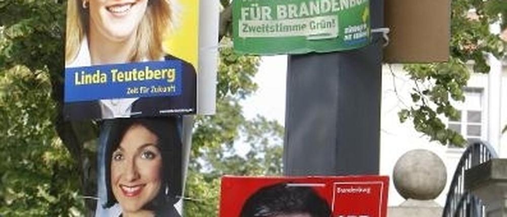 Alle an einem Strang: Potsdams Politiker wehren sich gegen verunstaltete Wahlplakate.