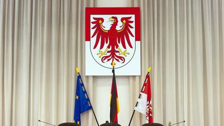 Weiß oder rot? Um die Farbe des brandenburgischen Wappentiers gibt es Streit.