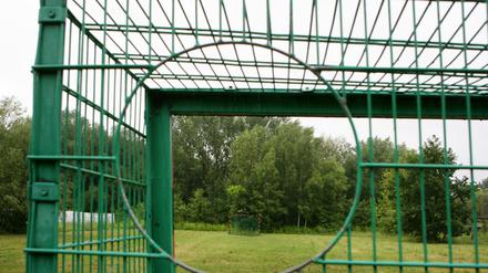 Umstritten: Der geplante Sportplatz am Rande des Park Babelsberg.