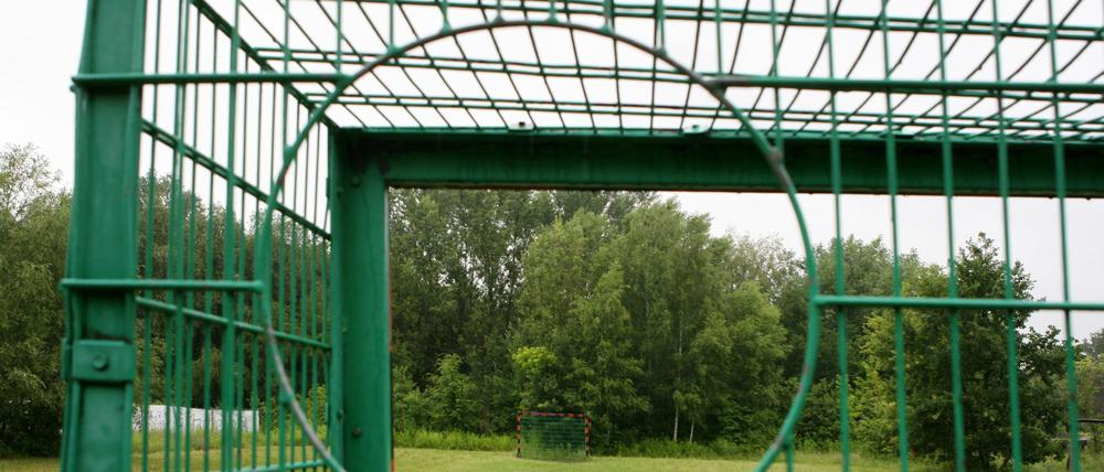 Umstritten: Der geplante Sportplatz am Rande des Park Babelsberg.