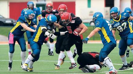 Zielstrebig nach vorne. Die American Footballer „Potsdam Royals“ sind vorzeitig Meister der Oberliga und spielen somit in der kommenden Saison in der Regionalliga.