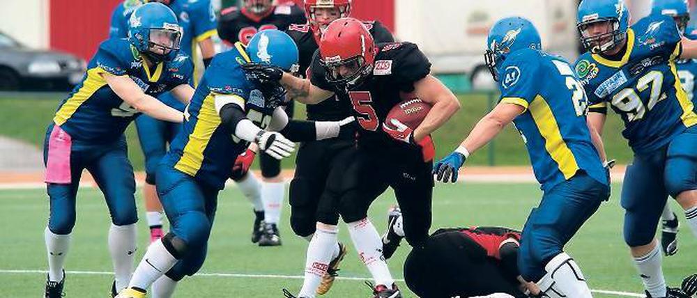 Zielstrebig nach vorne. Die American Footballer „Potsdam Royals“ sind vorzeitig Meister der Oberliga und spielen somit in der kommenden Saison in der Regionalliga.
