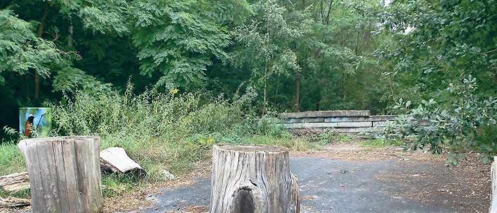 Bonjour Tristesse. Auf dieser Brache am äußersten Rand von Potsdam soll nach derzeitigem Stand die Containerunterkunft für etwa 100 Flüchtlinge aufgestellt werden - wenn die Stadt nichts besseres findet. Rundherum gibt es fast nichts, und schlecht erreichbar ist das Industriegebiet auch.