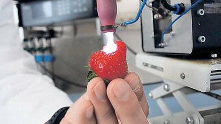 Entkeimung. Plasma gegen Keime.