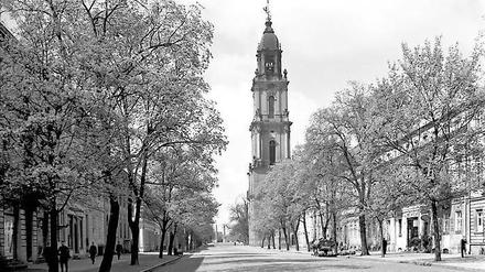 Wie Georg Hermann sie sah. Die Breite Straße in den 20er Jahren, von Bäumen gesäumt, dominiert vom Turm der Garnisonkirche und am Ende beschlossen von den beiden Obelisken des Neustädter Tors.