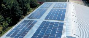 Hallendach genutzt. Die Ausgabe soll sich in acht bis elf Jahren rechnen.