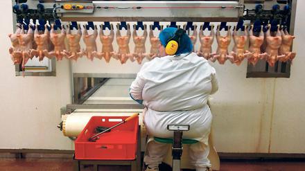 Fleisch am Fließband. Produktion in einer Hähnchenschlachterei in Niedersachsen. Dem BUND zufolge suchen Investoren von Mast- und Zuchtanlagen zunehmend nach Standorten in Brandenburg, weil in Niedersachsen bereits kaum noch Anlagen genehmigt werden.