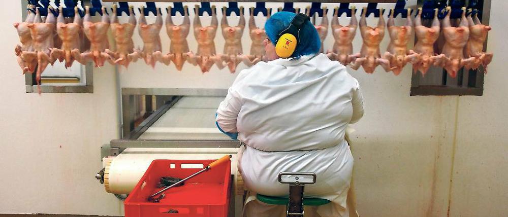 Fleisch am Fließband. Produktion in einer Hähnchenschlachterei in Niedersachsen. Dem BUND zufolge suchen Investoren von Mast- und Zuchtanlagen zunehmend nach Standorten in Brandenburg, weil in Niedersachsen bereits kaum noch Anlagen genehmigt werden.