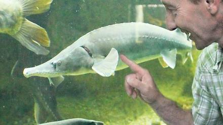 Kühl und lehrreich. 16 Grad sind es im Aquarium des Naturkundemuseums.