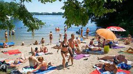 Sonnenbadende genießen am Tegeler See in Berlin das hochsommerliche Wetter.