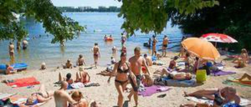 Sonnenbadende genießen am Tegeler See in Berlin das hochsommerliche Wetter.