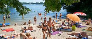 Sonnenbadende genießen am Tegeler See in Berlin das hochsommerliche Wetter.