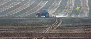 Ausverkauf. Während die Nachfrage nach Agrarland aus dem ehemaligen DDR-Volkseigentum nach wie vor groß ist, wird die Privatisierung bebauter Grundstücke immer schwieriger.