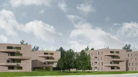 Nach wie vor sind vor allem Immobilien in Potsdam gefragt.