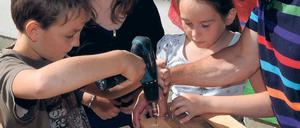 Bohrend. So sind auch die Fragen der Kinder an den Minister.