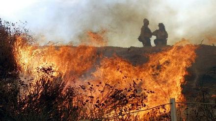 Bloß nicht die Kippe im Waldboden ausdrücken! In Brandenburg herrscht erhöhte Waldbrandgefahr!