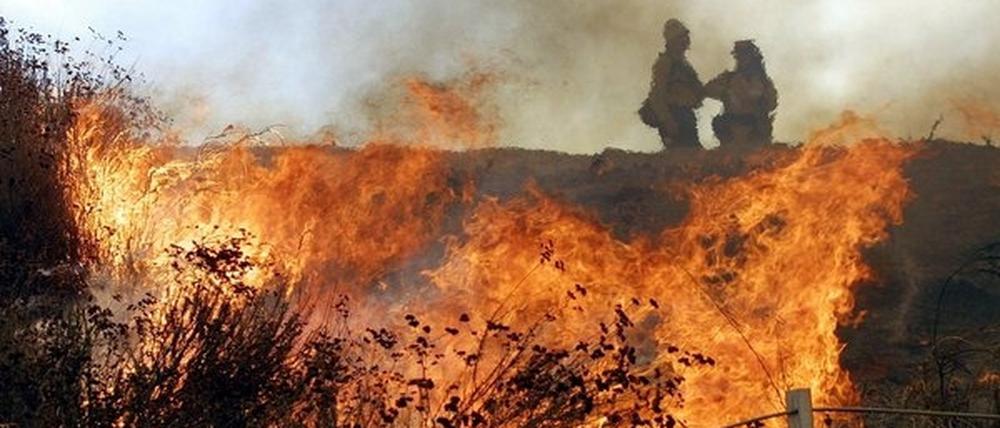 Bloß nicht die Kippe im Waldboden ausdrücken! In Brandenburg herrscht erhöhte Waldbrandgefahr!