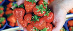 Gute Wahl. Ballaststoffe finden sich in pflanzlichen Lebensmitteln.