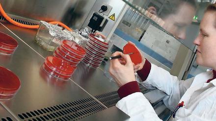 Helfende Hände. Wissenschaftler werden oft von Fachkräften professionell unterstützt, wie durch diese Assistentin in einem Labor im Wissenschaftspark Potsdam-Golm. Deren Ausbildung erfolgt oft an den Instituten selbst.