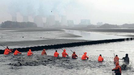 Wachsender Fischbedarf. Karpfenernte im Haelternteich bei Peitz.