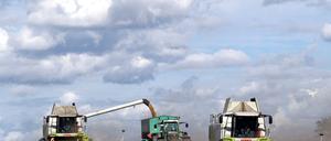 Eischnitte bei der EU-Förderung für Brandenburg.