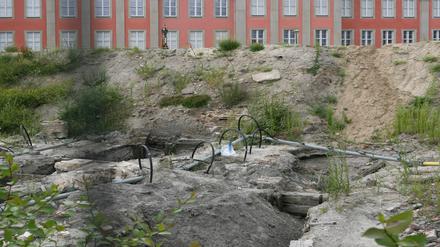 Der Fundort liegt an der Potsdamer Havel - direkt vor dem neuen Landtag.