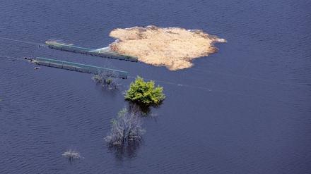 Zu viel Wasser für die Ernte. Brandenburgs Bauern soll jetzt geholfen werden.