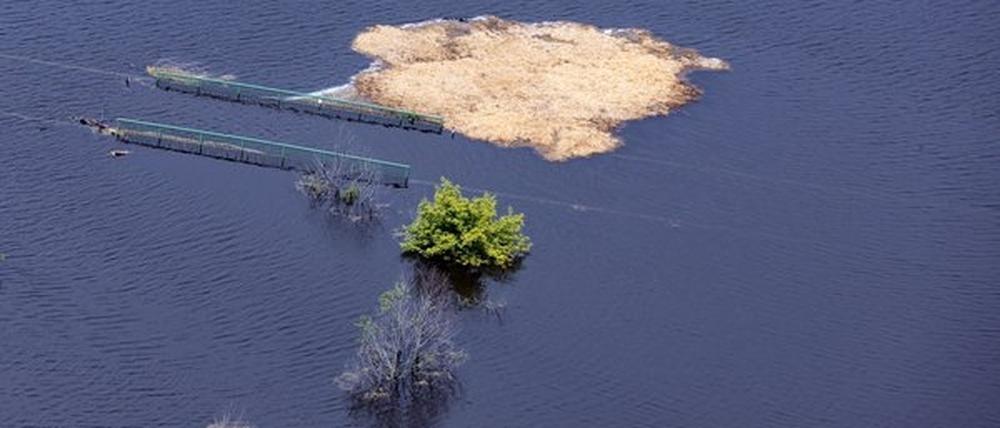 Zu viel Wasser für die Ernte. Brandenburgs Bauern soll jetzt geholfen werden.