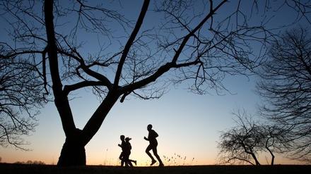 Friedlich Joggen? Nicht in Brandenburg/Havel. Dort hat ein Betrunkener zwei Läufer angegriffen.