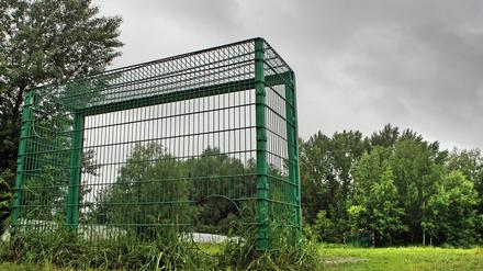 Grün ist die Hoffnung - und der Platz. Der Bolzplatz am Park Babelsberg kann gebaut werden.