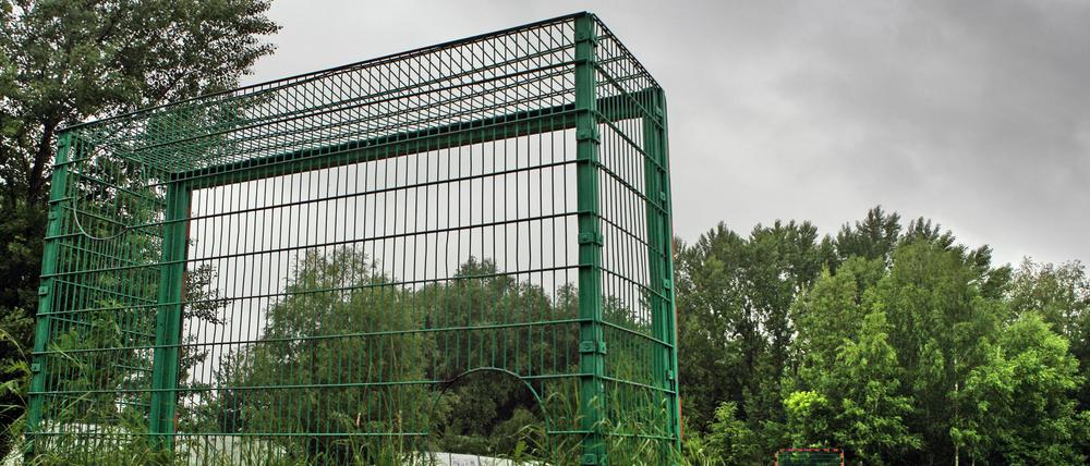 Grün ist die Hoffnung - und der Platz. Der Bolzplatz am Park Babelsberg kann gebaut werden.