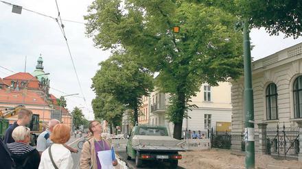 Linden. Zehn Potsdamer protestierten gegen die Fällung von Bäumen.