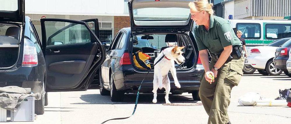 Verschont. Das Personal der Berliner Polizei wird aufgestockt.