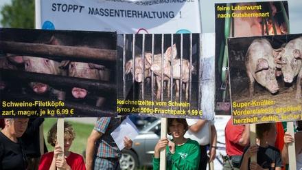 Protest gegen die geplante Schweinemastanlage in haßleben.