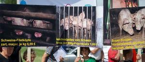 Protest gegen die geplante Schweinemastanlage in haßleben.