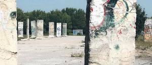 Unbezahlbarer Traum? Wo heute Unkraut wuchert und Überbleibsel der Mauer lagern, sollen bald Bootsbauer und Wassersportler eine neue Heimstätte finden.