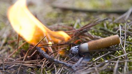 Jetzt auf keinen Fall leichtfertig die Kippe wegschnippen: Waldbrandgefahr herrscht bei dem Wetter in ganz Brandenburg.