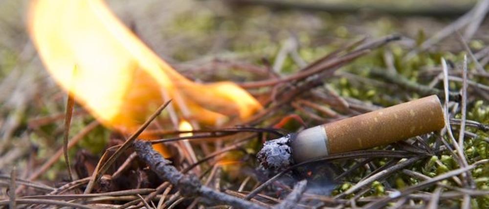 Jetzt auf keinen Fall leichtfertig die Kippe wegschnippen: Waldbrandgefahr herrscht bei dem Wetter in ganz Brandenburg.