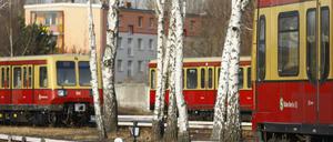 Von wegen die Jugend: Ein 66-jähriger betrunkener Rentner belästigte erst Fahrgäste und griff dann den Fahrer an.